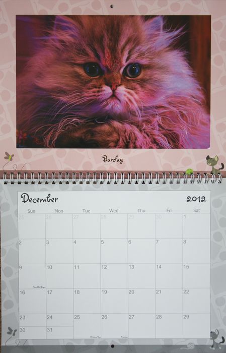 Barclay calendar.jpg